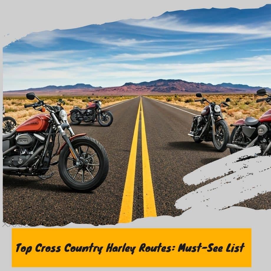 Harley motorcycles on scenic route