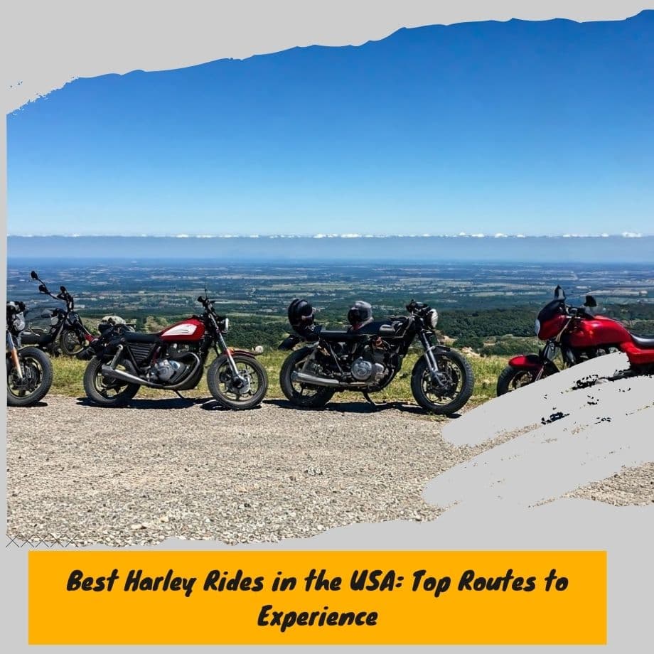Motorcycles at scenic viewpoint