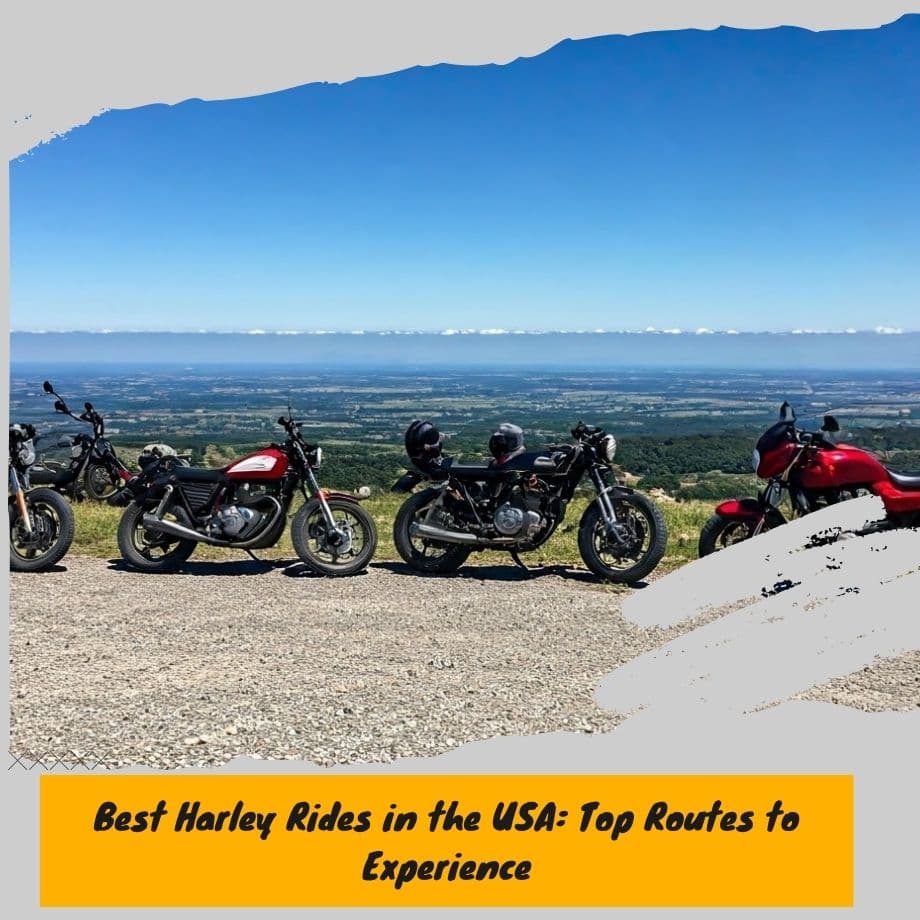 Motorcycles at scenic viewpoint