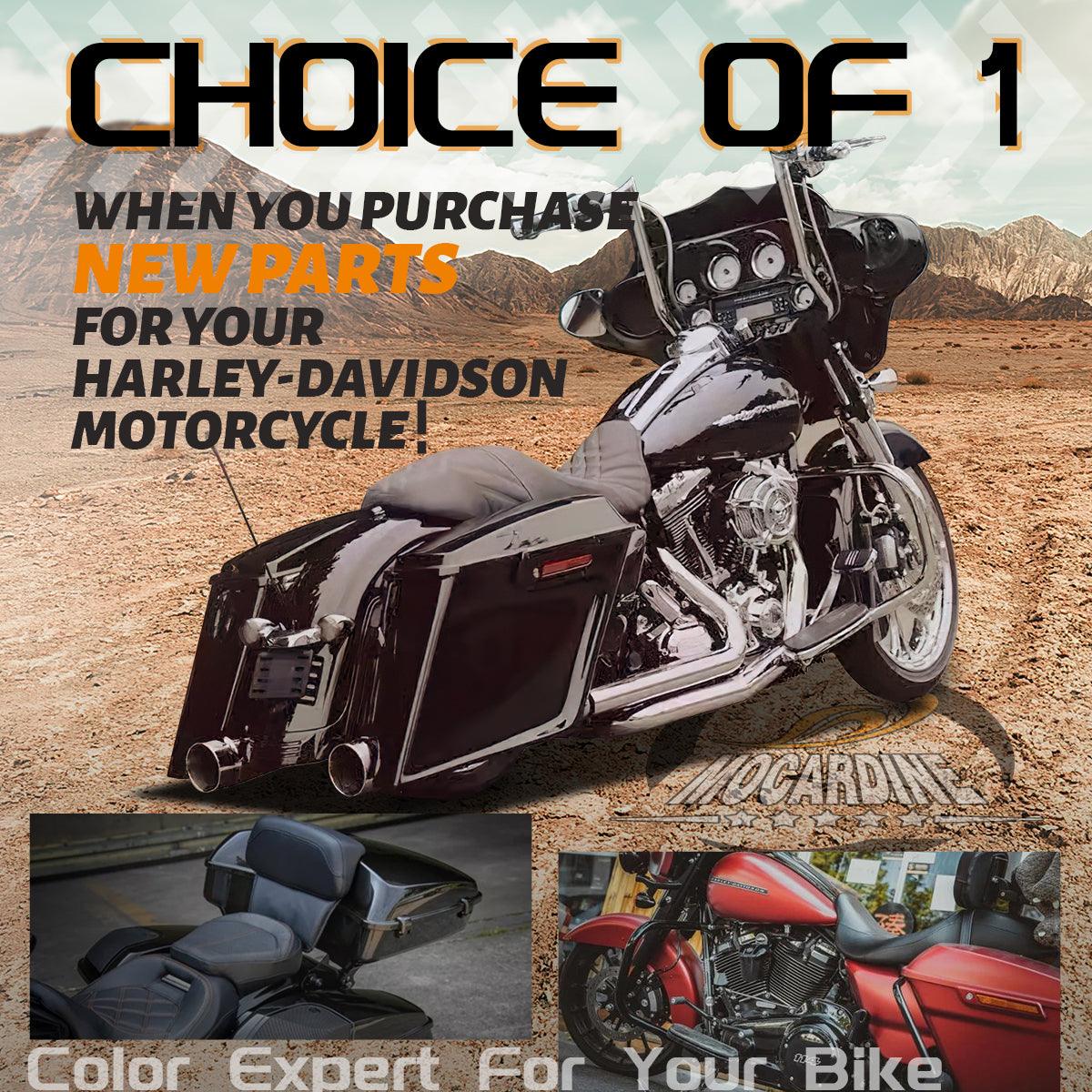 Harley Off-Road Adventure in the US: Answering All Your Questions ...